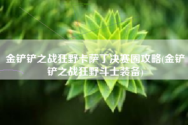 金铲铲之战狂野卡萨丁决赛圈攻略(金铲铲之战狂野斗士装备)