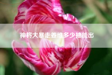 神将大暴走姜维多少抽能出