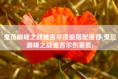 鬼泣巅峰之战维吉尔技能搭配推荐(鬼泣巅峰之战维吉尔伤害低)
