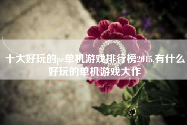 十大好玩的pc单机游戏排行榜2015,有什么好玩的单机游戏大作