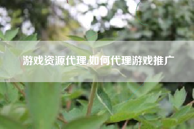 游戏资源代理,如何代理游戏推广