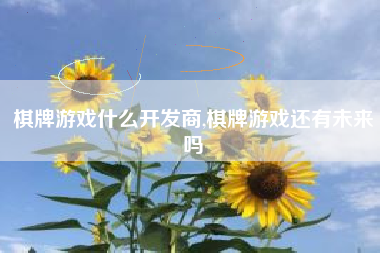 棋牌游戏什么开发商,棋牌游戏还有未来吗