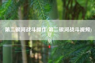 第二银河战斗操作(第二银河战斗视频)