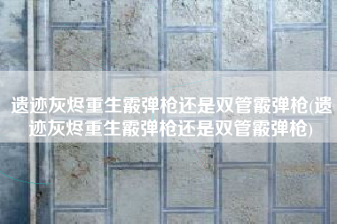 遗迹灰烬重生霰弹枪还是双管霰弹枪(遗迹灰烬重生霰弹枪还是双管霰弹枪)