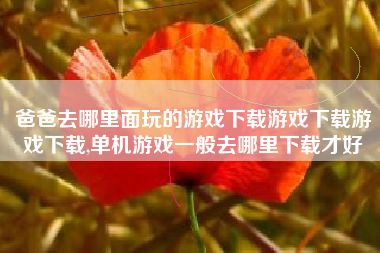 爸爸去哪里面玩的游戏下载游戏下载游戏下载,单机游戏一般去哪里下载才好