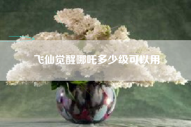 飞仙觉醒哪吒多少级可以用