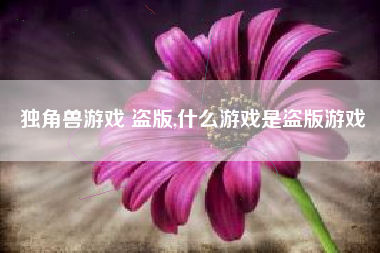 独角兽游戏 盗版,什么游戏是盗版游戏