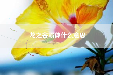 龙之谷霸体什么意思
