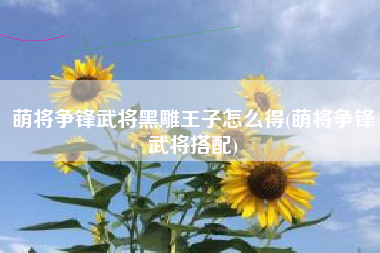 萌将争锋武将黑雕王子怎么得(萌将争锋武将搭配)