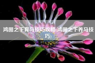鸿图之下育马技巧攻略(鸿图之下养马技巧)