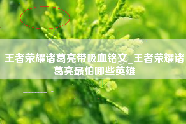 王者荣耀诸葛亮带吸血铭文_王者荣耀诸葛亮最怕哪些英雄