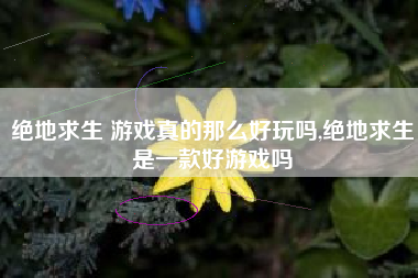 绝地求生 游戏真的那么好玩吗,绝地求生是一款好游戏吗