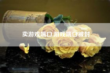 卖游戏端口,游戏端口被封