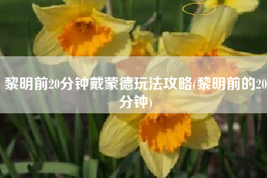 黎明前20分钟戴蒙德玩法攻略(黎明前的20分钟)