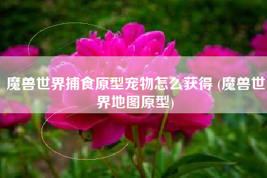 魔兽世界捕食原型宠物怎么获得 (魔兽世界地图原型)