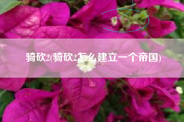 骑砍2(骑砍2怎么建立一个帝国)