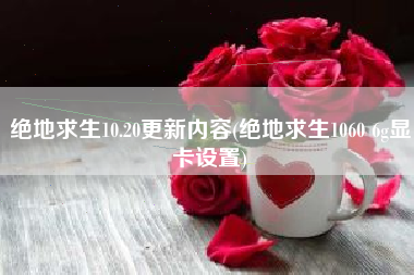 绝地求生10.20更新内容(绝地求生1060 6g显卡设置)