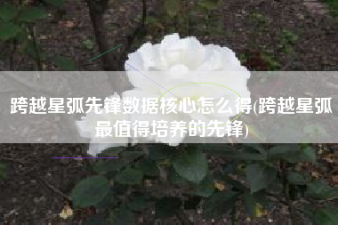 跨越星弧先锋数据核心怎么得(跨越星弧最值得培养的先锋)