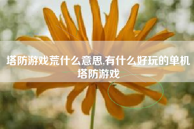 塔防游戏荒什么意思,有什么好玩的单机塔防游戏