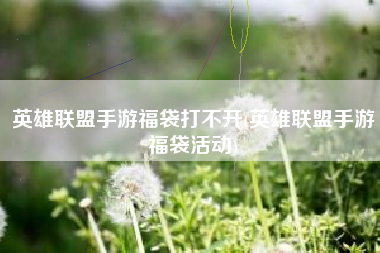 英雄联盟手游福袋打不开(英雄联盟手游福袋活动)