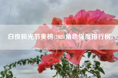 白夜极光节奏榜(2021角色强度排行榜)