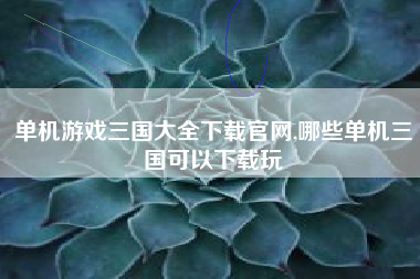 单机游戏三国大全下载官网,哪些单机三国可以下载玩