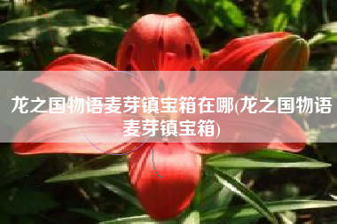 龙之国物语麦芽镇宝箱在哪(龙之国物语麦芽镇宝箱)
