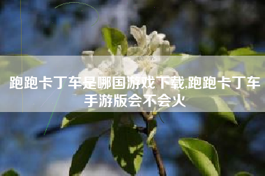 跑跑卡丁车是哪国游戏下载,跑跑卡丁车手游版会不会火