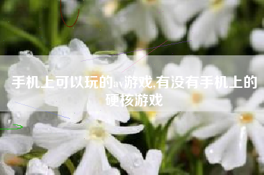 手机上可以玩的av游戏,有没有手机上的硬核游戏