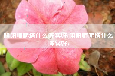 阴阳师爬塔什么阵容好(阴阳师爬塔什么阵容好)