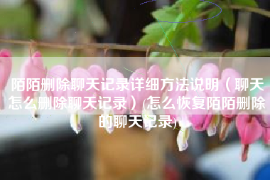 陌陌删除聊天记录详细方法说明（聊天怎么删除聊天记录）(怎么恢复陌陌删除的聊天记录)