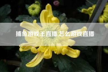 捕鱼游戏王直播,怎么游戏直播