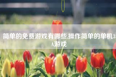 简单的免费游戏有哪些,操作简单的单机3A游戏