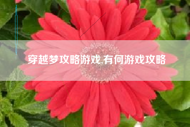 穿越梦攻略游戏,有何游戏攻略