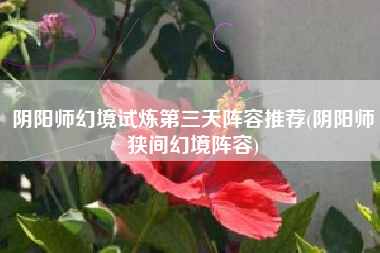 阴阳师幻境试炼第三天阵容推荐(阴阳师狭间幻境阵容)