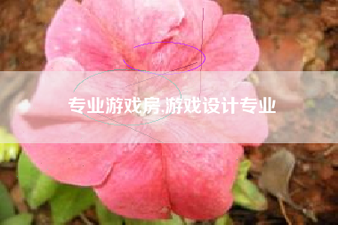 专业游戏房,游戏设计专业