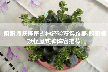 阴阳师妖怪屋式神经验获得攻略(阴阳师妖怪屋式神阵容推荐)