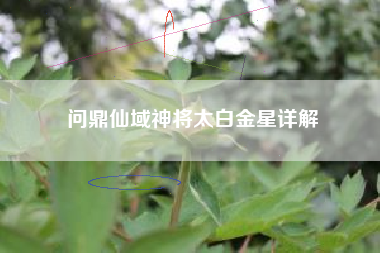 问鼎仙域神将太白金星详解