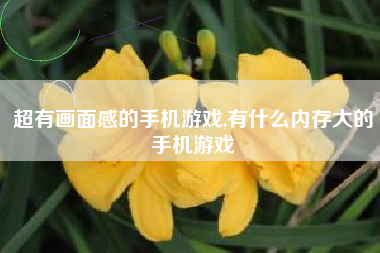超有画面感的手机游戏,有什么内存大的手机游戏