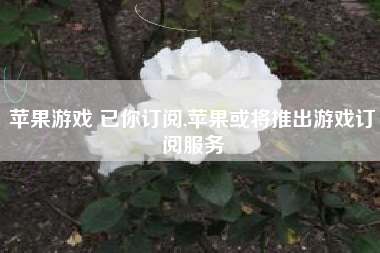 苹果游戏 已你订阅,苹果或将推出游戏订阅服务