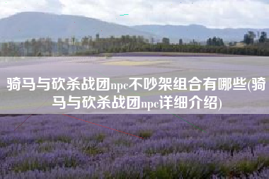 骑马与砍杀战团npc不吵架组合有哪些(骑马与砍杀战团npc详细介绍)