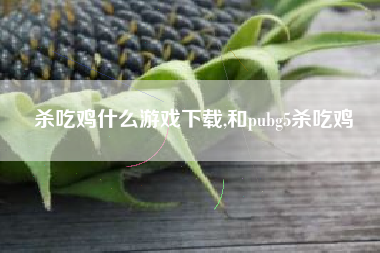 杀吃鸡什么游戏下载,和pubg5杀吃鸡