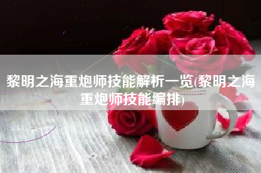 黎明之海重炮师技能解析一览(黎明之海 重炮师技能编排)