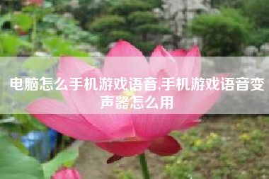 电脑怎么手机游戏语音,手机游戏语音变声器怎么用
