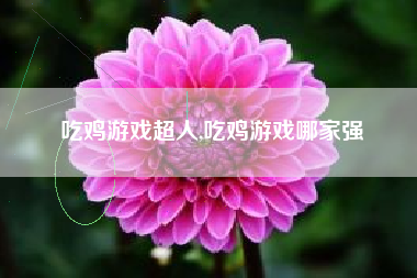 吃鸡游戏超人,吃鸡游戏哪家强