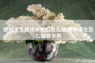 绝对求生游戏听枪位怎么调,绝地求生怎么调脚步声