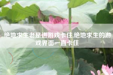 绝地求生老是进游戏卡住,绝地求生的游戏界面一直卡住