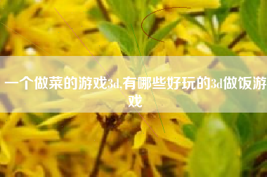 一个做菜的游戏3d,有哪些好玩的3d做饭游戏