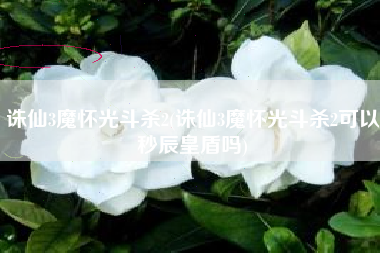 诛仙3魔怀光斗杀2(诛仙3魔怀光斗杀2可以秒辰皇盾吗)
