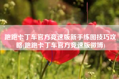 跑跑卡丁车官方竞速版新手练图技巧攻略(跑跑卡丁车官方竞速版微博)